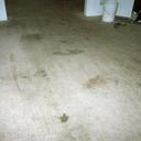 Before Carpet cleaning