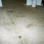 Before Carpet cleaning
