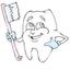 Tooth