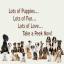 Dog training in Kennesaw, GA