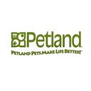Pets for sale in Kennesaw, GA