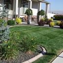 Lawn care, our specialty