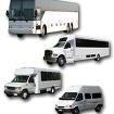 All Buses