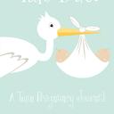 Two Due! A Twin Pregnancy Journal