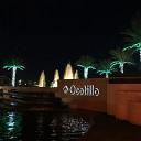 Holiday palm trees