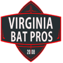 Michigan Bat Removal