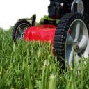Lawn Maintenance