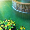 Water Features