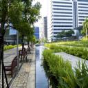Commercial Landscaping