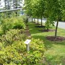 horticulture