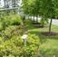 horticulture