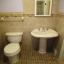 new vanity & toilet