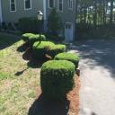 Landscaping companies in Boston