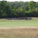 Fairway Bunker, 8th Hole