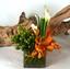 Alaric Flower Design work