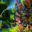Interior or exterior pest control