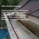 gutter cleaning