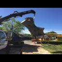 Residential Tree Removal With Crane & Scoop Lift