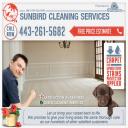 carpet cleaning
