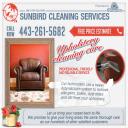 upholstery cleaning
