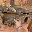 rotting walls