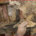 water damage