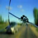 Lowest Price Auto Glass, call now!