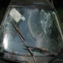 Lowest Price Auto Glass, call now!