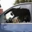 Lowest Price Auto Glass, call now!