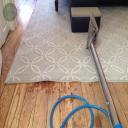 area rug cleaning