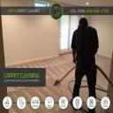 professional carpet cleaning