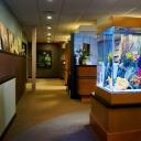 Acquarium in the hallway at ABC Dentistry & Orthodontics Schaumburg, IL