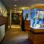 Acquarium in the hallway at ABC Dentistry & Orthodontics Schaumburg, IL