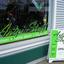 Storefront