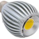 Flood LED Bulbs