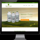 ecommerce Web Design