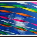 Carnival Birthday