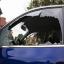 Call now for your free auto glass quote now!!