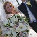 Montreal Wedding
