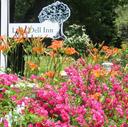 Roses at Long Dell Inn