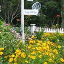 Innflowers at Long Dell Inn