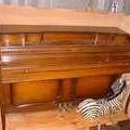 Piano Moving