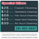 Carpet Cleaning in Houston Area
