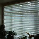 Silhoutte Window Shadings by Monarch Floor & Window Coverings