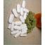 buy marijuana online