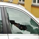 Call now for your free auto glass quote now!!