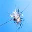 Call now for your free auto glass quote now!!