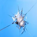 Call now for your free auto glass quote now!!