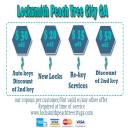 Locksmith Peach Tree City GA