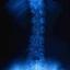 Chiropractor2